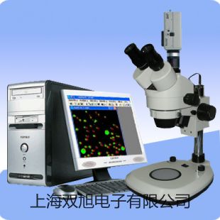 pơyʽܽxJPBJ-608(sh)