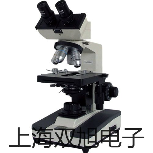 【雙旭牌】鎧裝鉑電阻WZPK-236S銷售