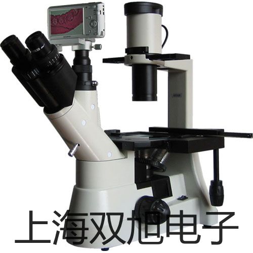 pơ늸Љ׃YSG-2YSG2r 