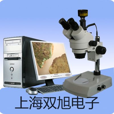 pơA8yxyx(sh)