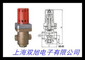快速排氣閥 快排閥QEA-06 08 10 15 20 急速排氣閥XQ170600 17080