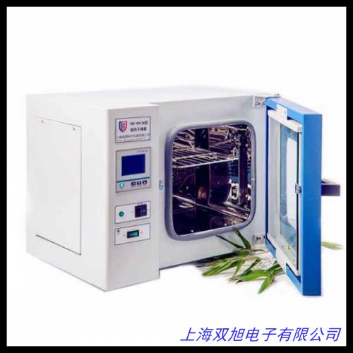 電熱恒溫鼓風(fēng)干燥箱烘箱恒溫箱烤箱烘干箱老化試驗(yàn)箱實(shí)